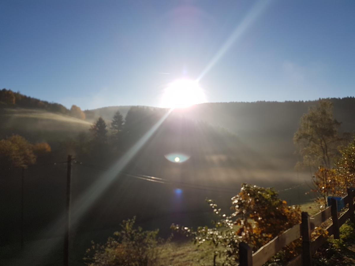 Der Nesselbacher Schmallenberg Eksteriør bilde